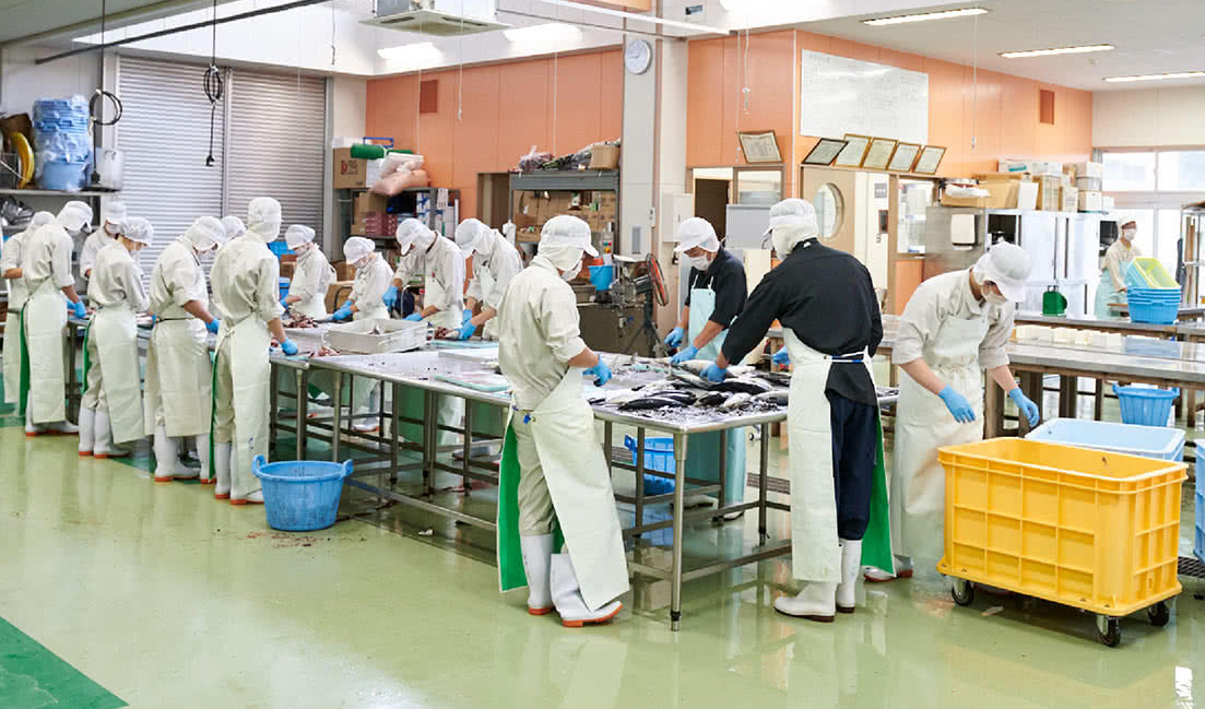 Tuyển dụng 20 lao động Ngành chế biến thực phẩm  làm việc tại 2 vùng Kanto & Kansai.